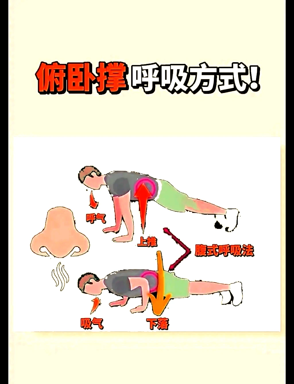 哪里可以学习到高级的篮球战术训练方法?_0